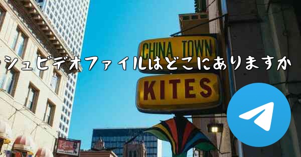 Paper Plane のキャッシュビデオファイルはどこにありますか