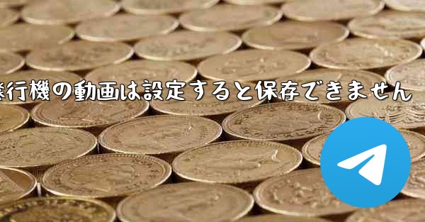 紙飛行機の動画は設定すると保存できません