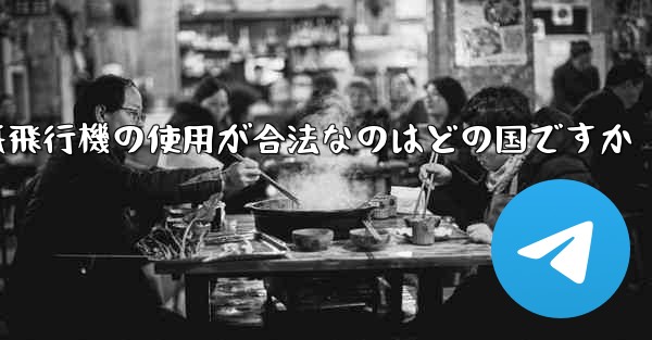 紙飛行機の使用が合法なのはどの国ですか