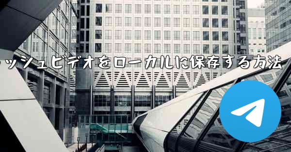 紙飛行機のキャッシュビデオをローカルに保存する方法