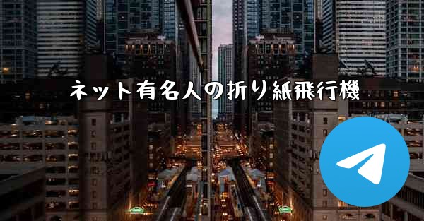 ネット有名人の折り紙飛行機