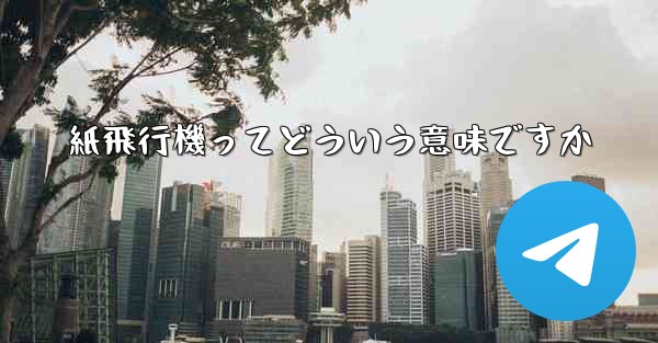 紙飛行機ってどういう意味ですか