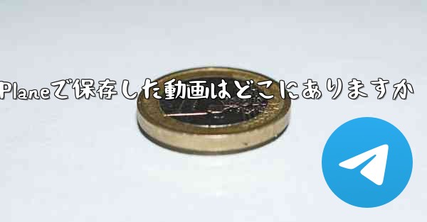 Paper Planeで保存した動画はどこにありますか