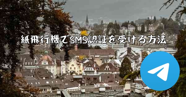 紙飛行機でSMS認証を受ける方法