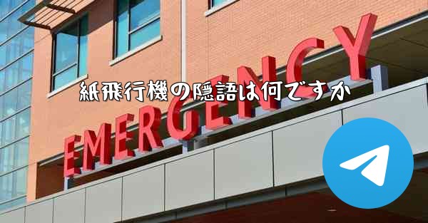 紙飛行機の隠語は何ですか