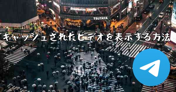 Paper Plane でキャッシュされたビデオを表示する方法