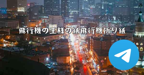 飛行機の王様の紙飛行機折り紙