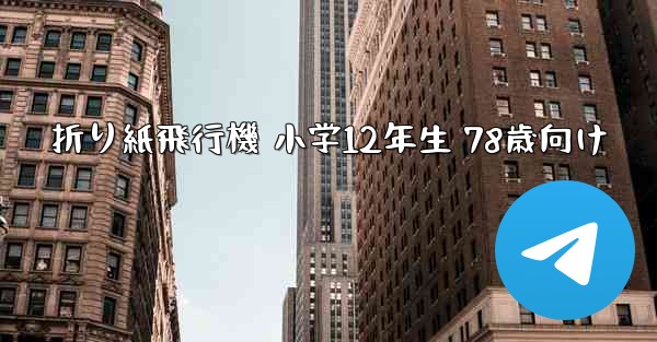 折り紙飛行機 小学12年生 78歳向け