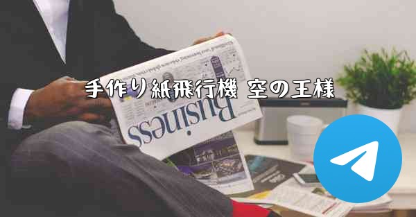 手作り紙飛行機 空の王様