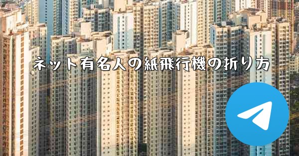 ネット有名人の紙飛行機の折り方