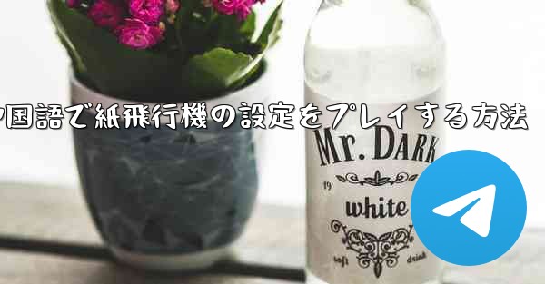 中国語で紙飛行機の設定をプレイする方法