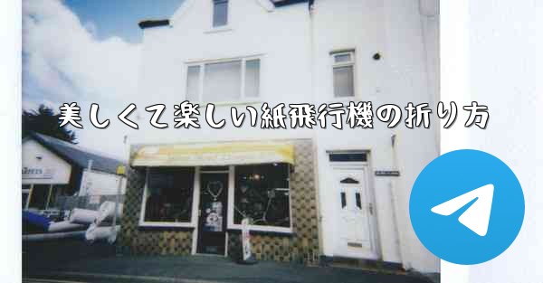 美しくて楽しい紙飛行機の折り方