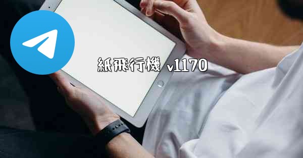 紙飛行機 v1170