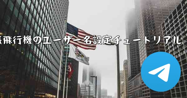 紙飛行機のユーザー名設定チュートリアル
