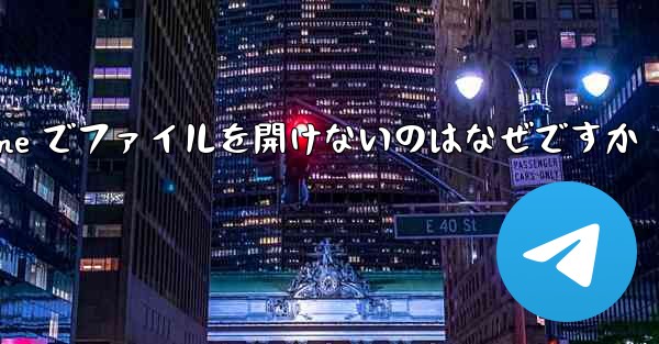 Paper Plane でファイルを開けないのはなぜですか
