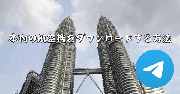 本物の航空機をダウンロードする方法
