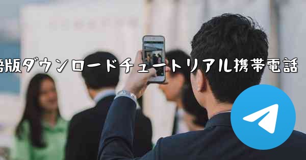 シンプルな飛行機中国語版ダウンロードチュートリアル携帯電話