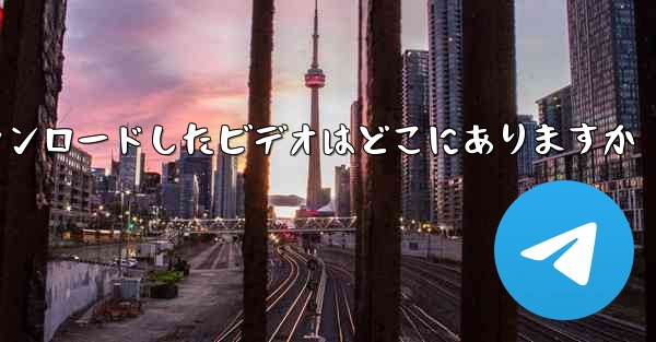 iPad のアプリからダウンロードしたビデオはどこにありますか